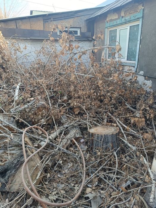 Отдам драва бесплатно