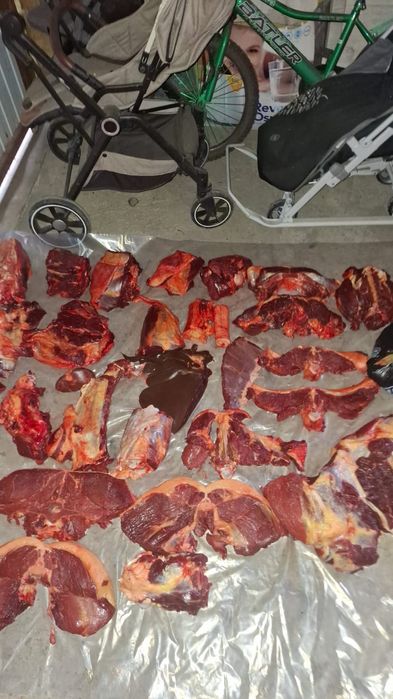 Мясо конина жылқы еті
