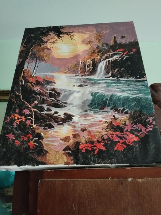 Vând tablouri pictura pe numere 40/50 cm