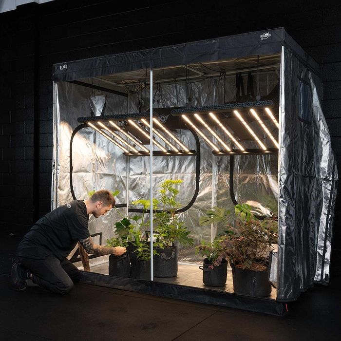 Growing set - tent, lights and stuff