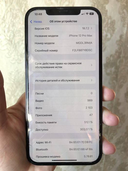 12 Про Мах 512 гб