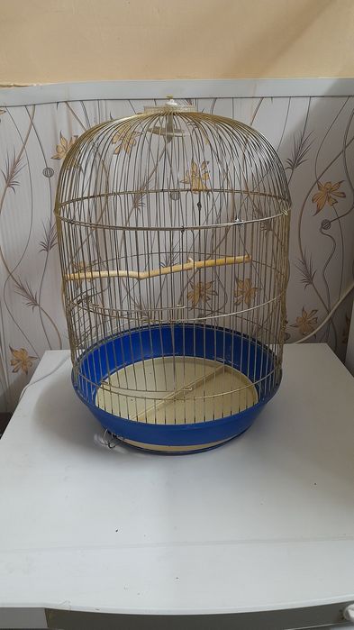 Корелла самец с клеткой