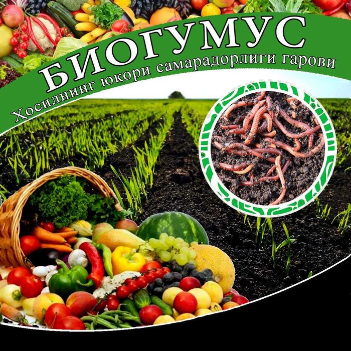Bio gumus bor Био гумус бор