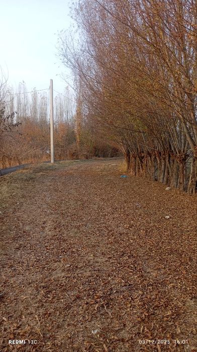 uy sotiladi 90 sotix buka tumanida