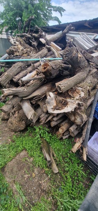 Продам дрова для бани и прочих