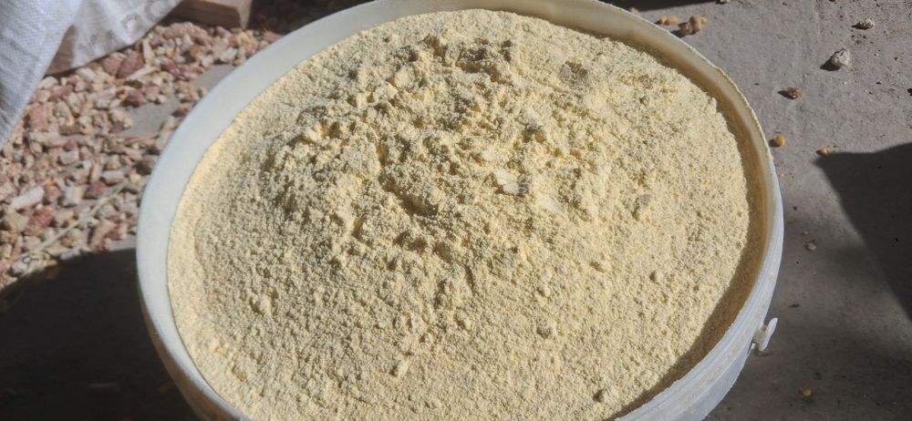 Маккажўхори уни бор