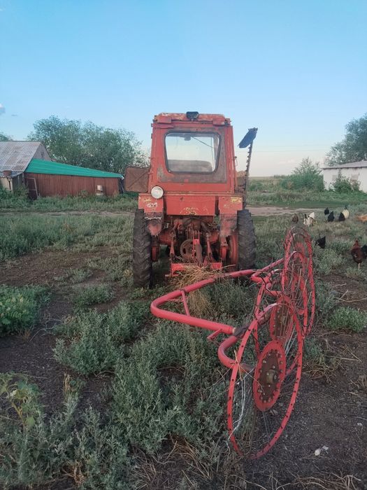 T25 комплект нахаду