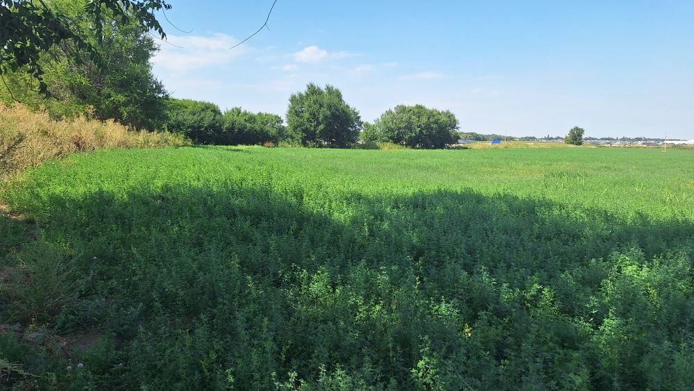 Продам земельный участок