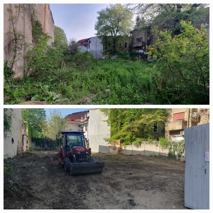 Igienizare, defrisare, curatare terenuri, vegetatie, ambrozie