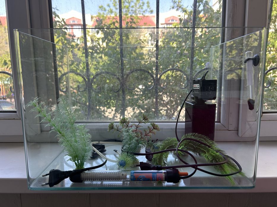 Аквариум для рыбы