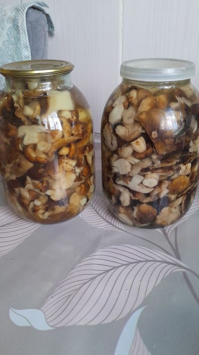 Продам подтопольники