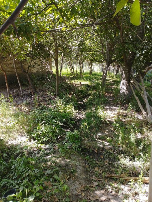 Ташморя уй дачага мос ОБМЕН мошинага хам бор