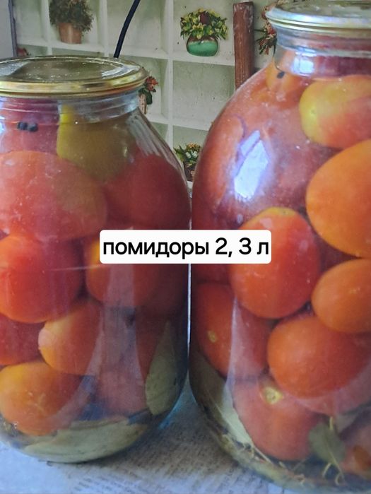 Соленья этого года