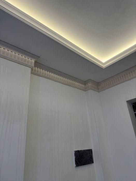 Tyaga lepka gips dan quyib beramiz