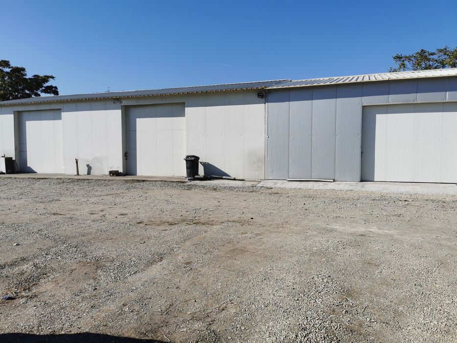 Hala de inchiriat 200m 120m 100m 80m