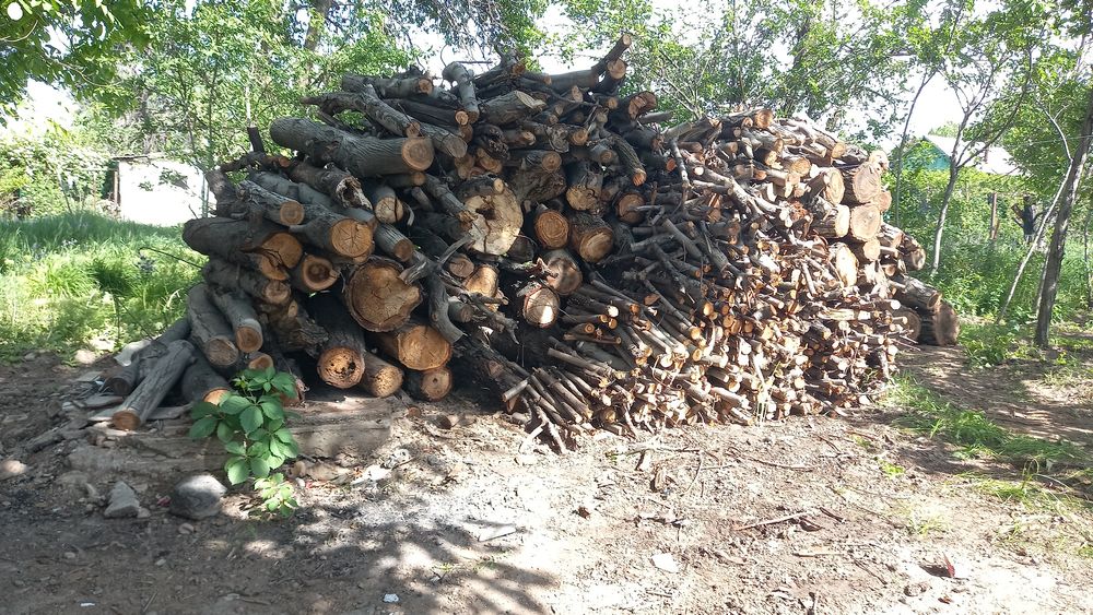 Дрова ореха и  вишни