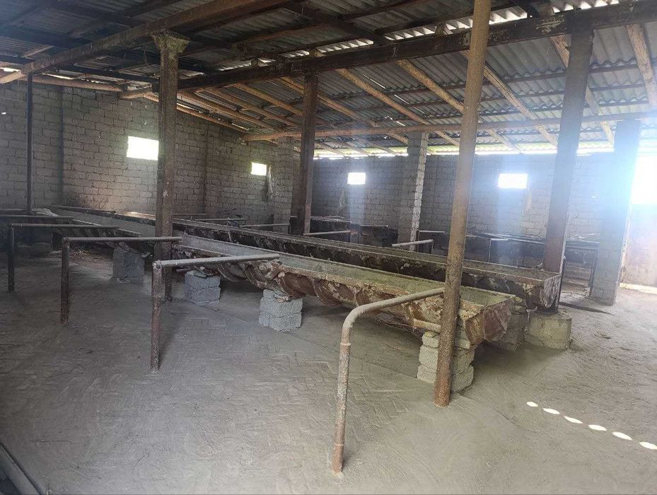 Продаётся дом с участком, расположенный в Туйтепе