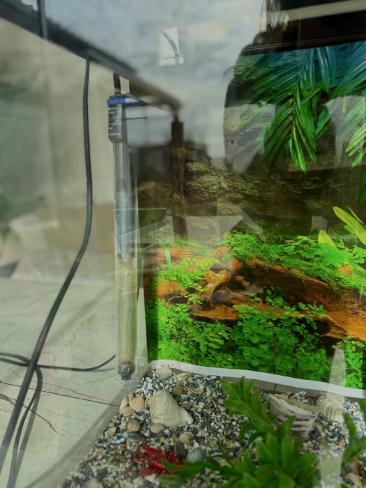 Acvariu  pesti complet 100 litri