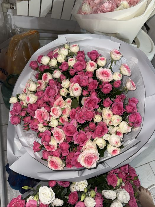 Цветы продам срочно