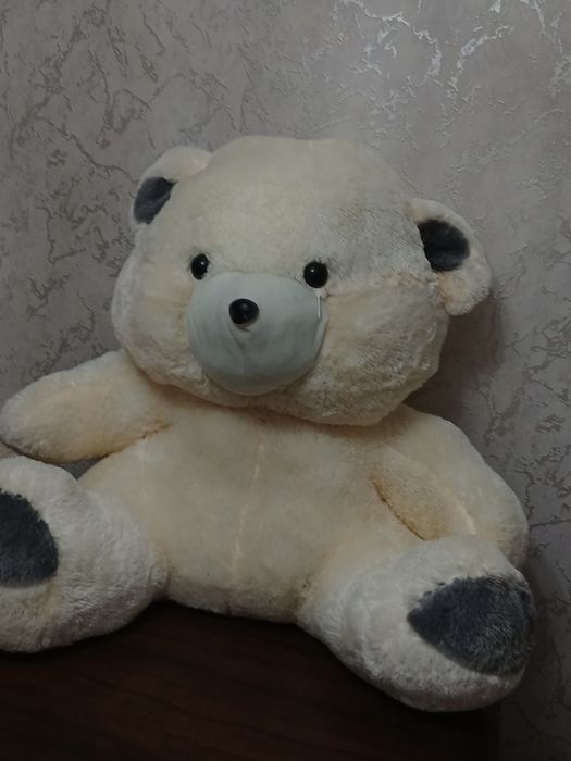 Teddy  Ayiqchasi