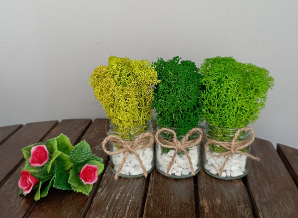 Подаръчета за гости / Декорация за дома