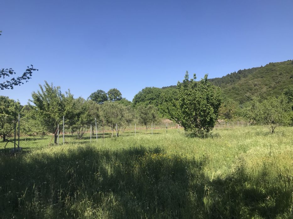 Парцел Неа Рода Комица Гърция Атон