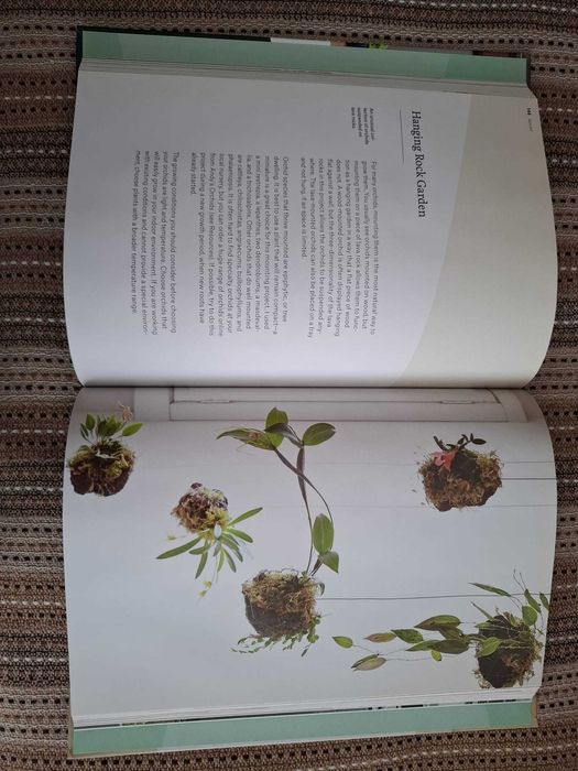 Carte Handmade Hobby - Plant Craft