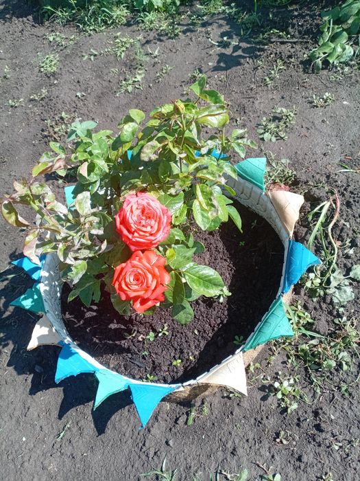 Продам ухоженную дачу!
