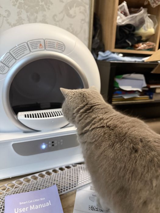 Кошачий лоток самоочищающийся