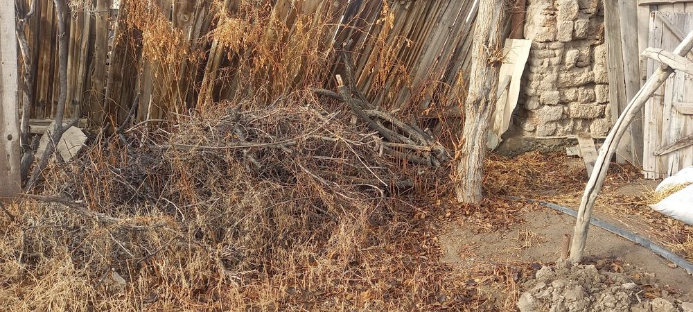 Ағаш отынлар бар,