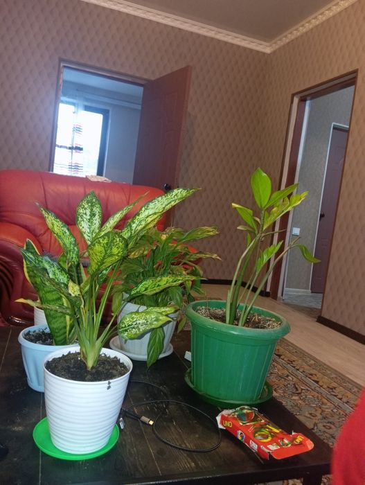 Дом по цене времянки!