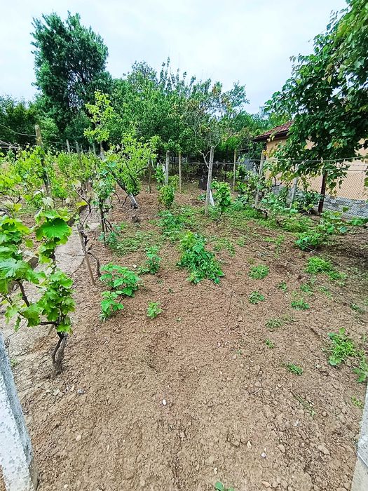 Продава се Къща в Силистра, Меджиди Табия - 488 кв.м за 123 €/кв.м - Снимка #7