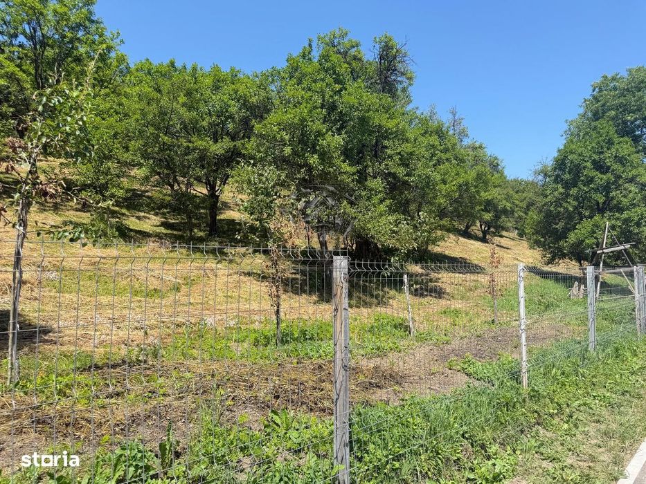 Teren Valea Doftanei, Tesila, utilitati la strada, padure in spate