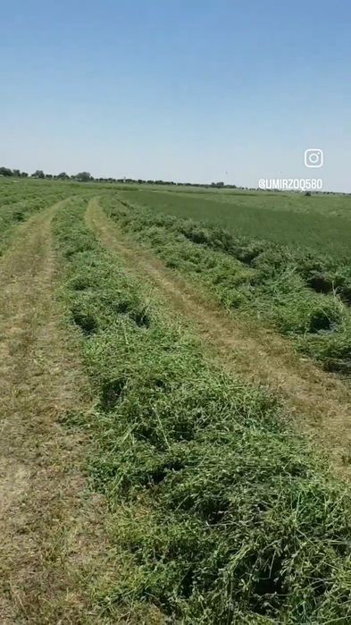 Italianiskoy kasilka JF-GMS 2800