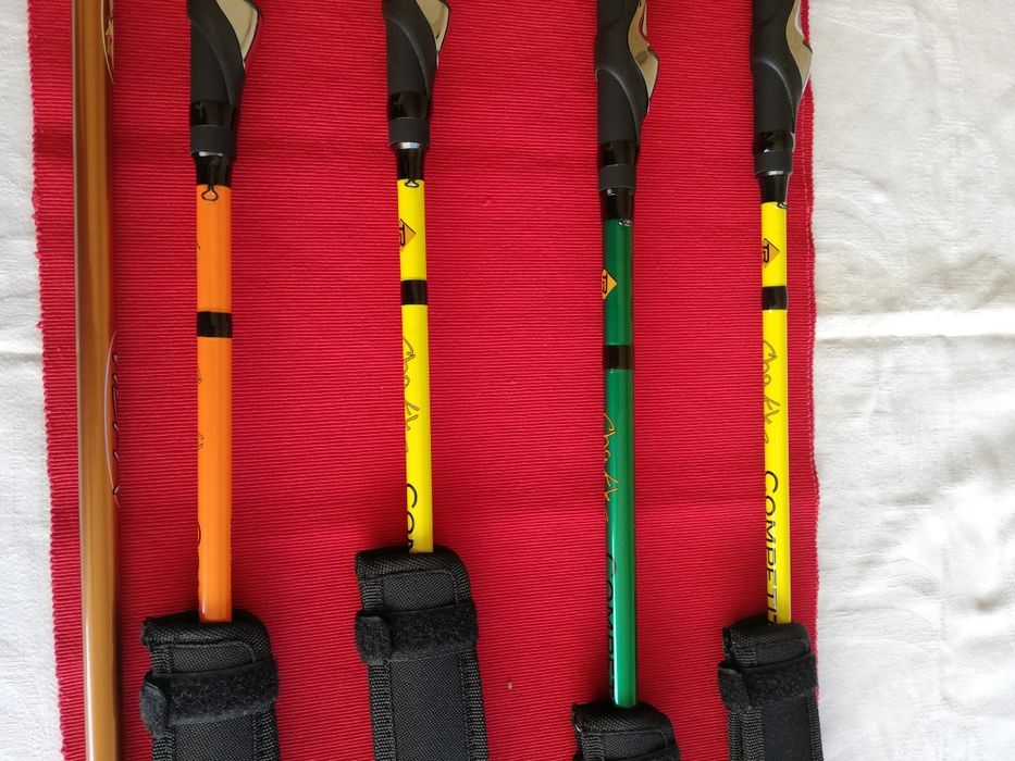 Lansete finete-Match -Bologneze Iron Trout Chakka Competition