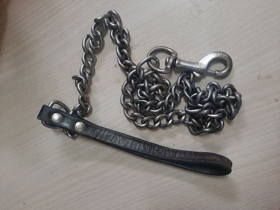 Кожени каишки и метален повод за куче.