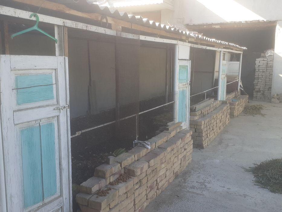 Вобкент шахри марказида 8 сотихли ховли сотилади.