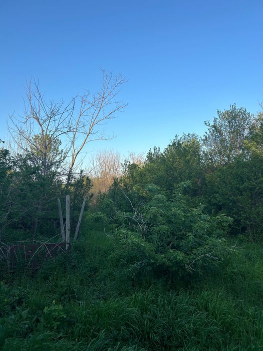 Teren vanzare Dumitresti, Judetul Olt