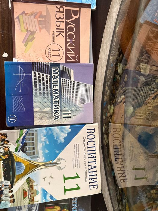 Книги 11 класса ( русский класс )