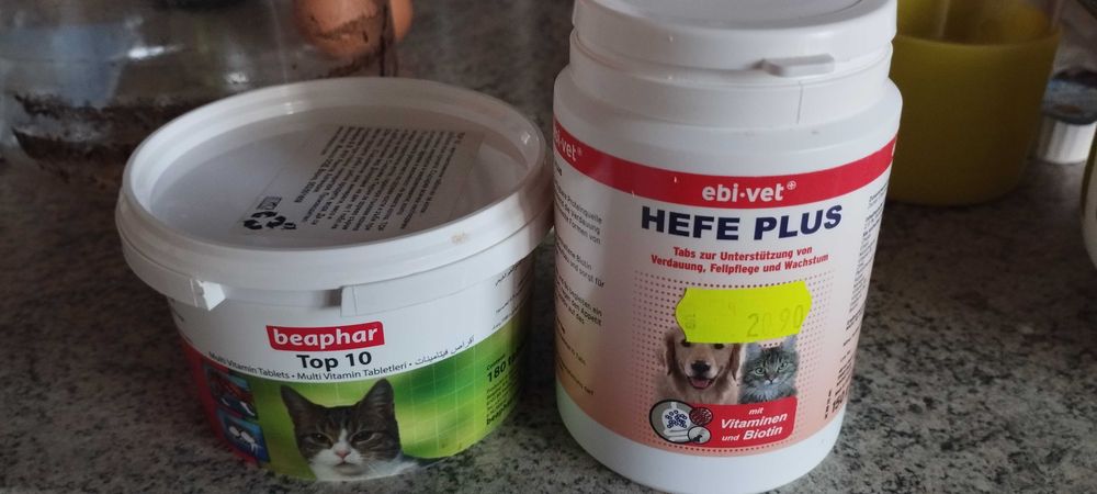 за котката катерушка, купа храна, витамини, легло радиатор