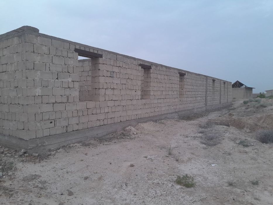 Молхона 20 сотихли