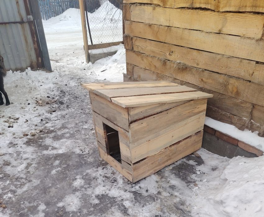 Срочно не дорого