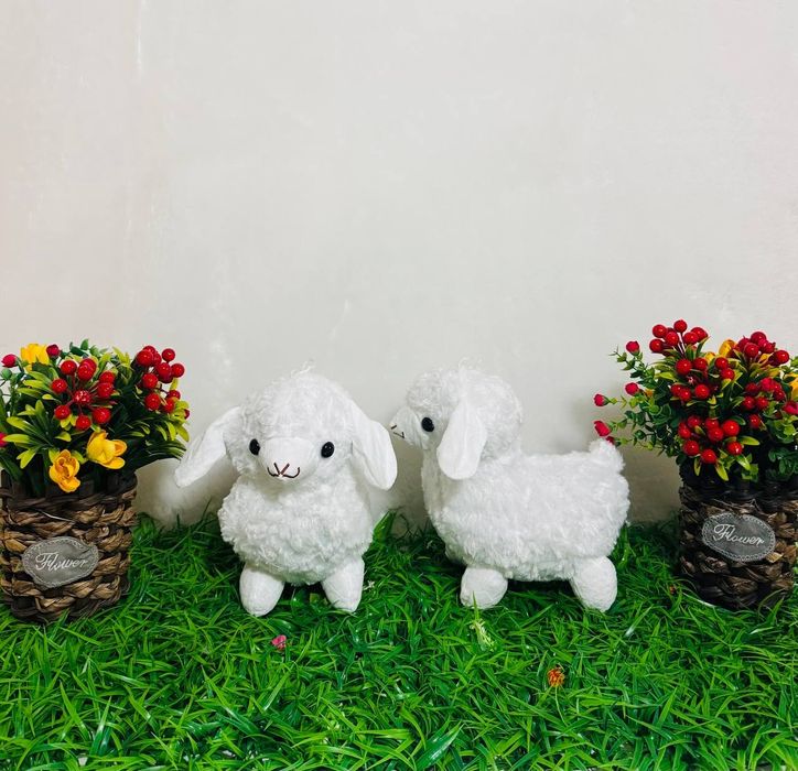 Onchoqlar optim narxda