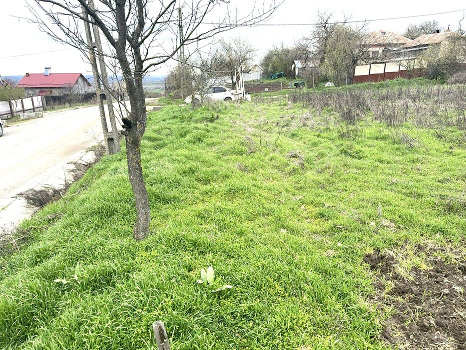 Teren Simnicu de Sus Cornetu intravilan, asfalt