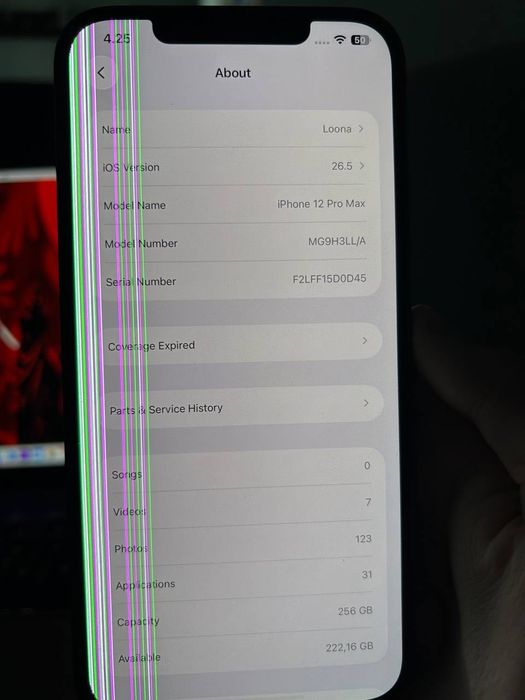 iPhone 12 Pro Max