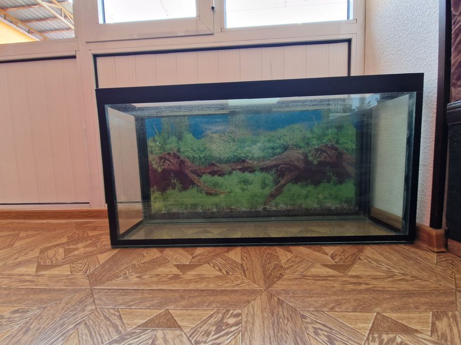 Аквариум сотилади