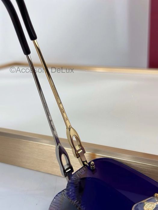 Ochelari de Soare Cartier CT0820S Noi Full Box Photochromic Lens [Verificare Colet] Silver