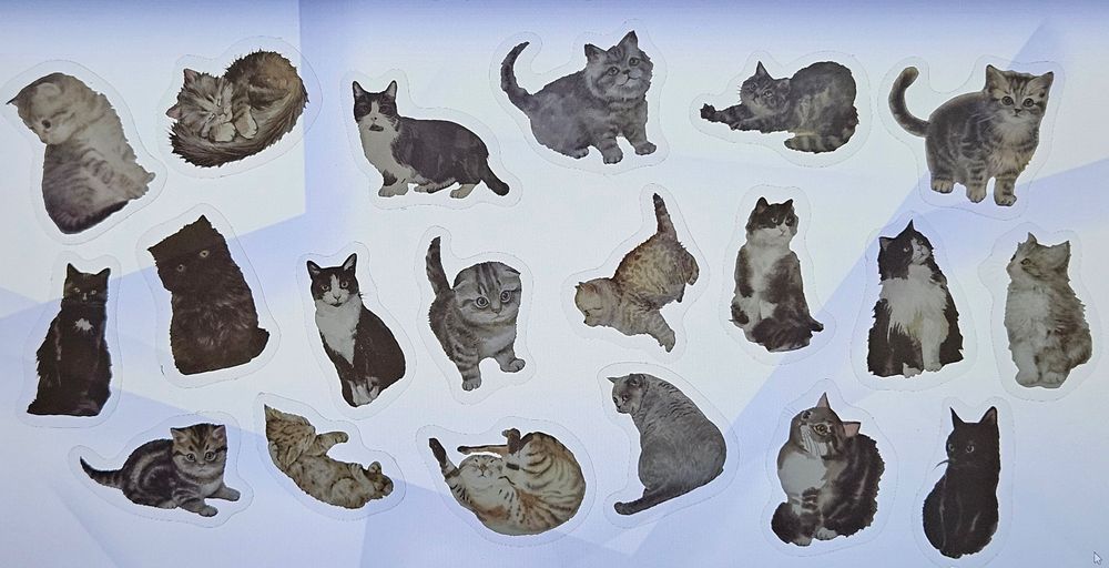 Стикери анатомия/котки/кафе/държави