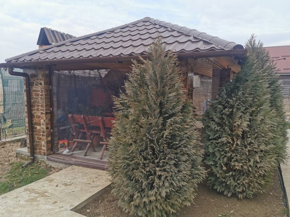 Folie/ rulouri terase si foisoare, folii terasa transparenta Tratat UV