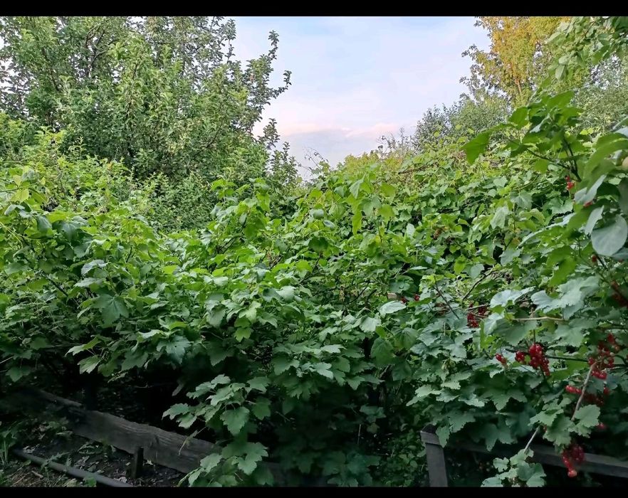 Дача земельный участок